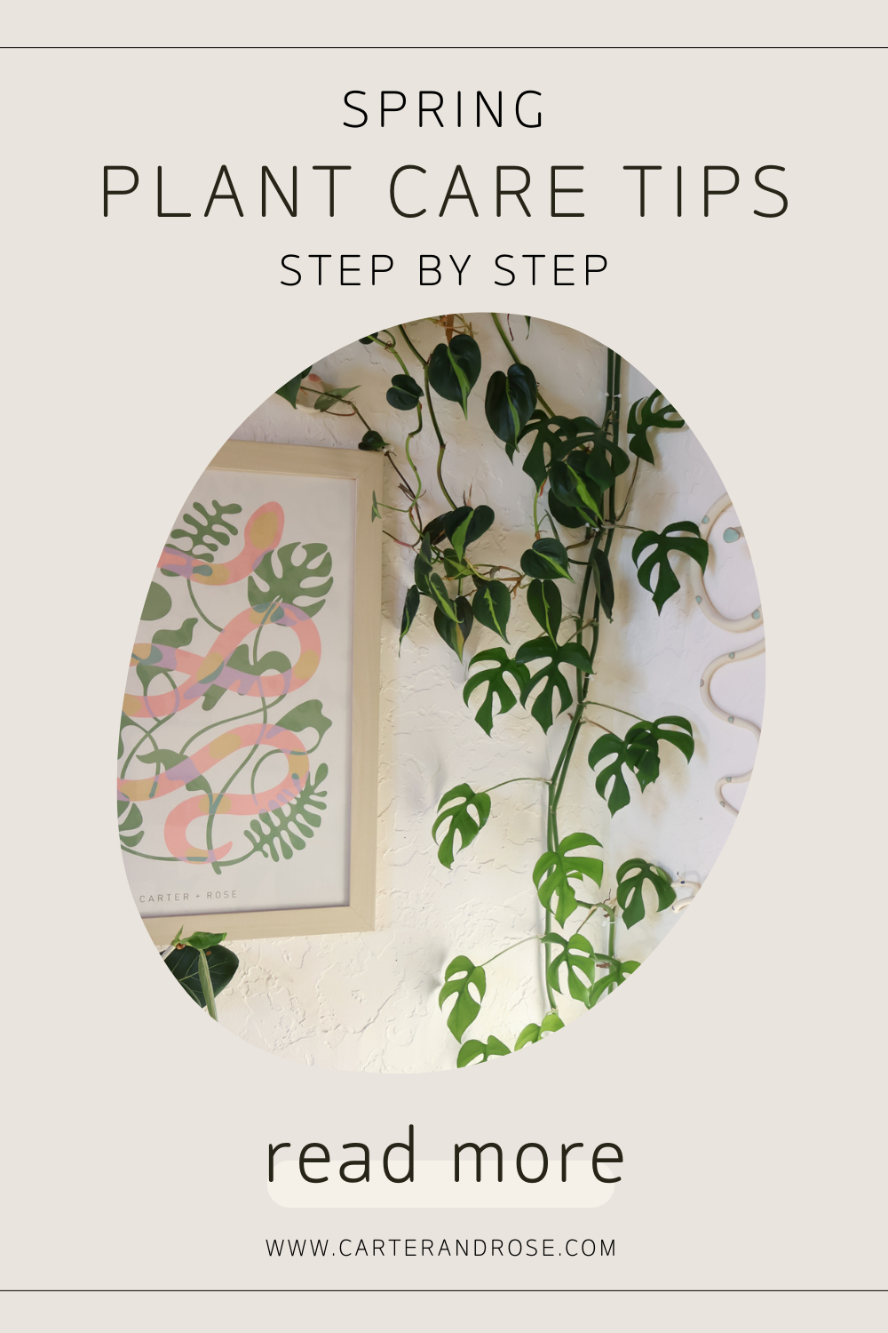 Spring Plant Care Tips