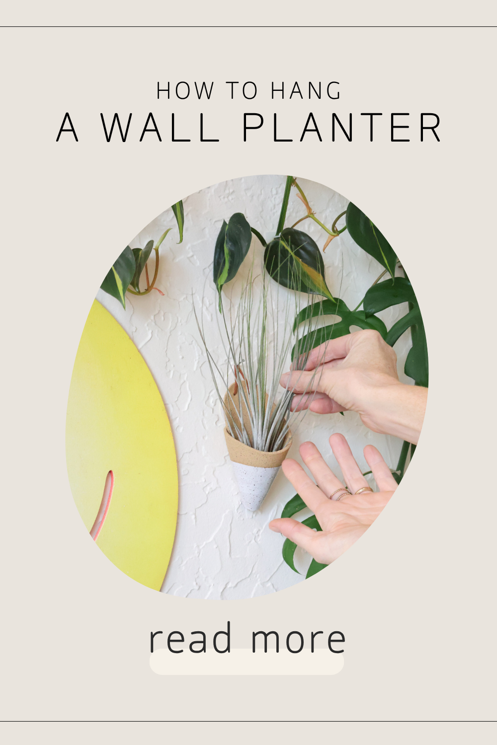 How to Hang a Wall Planter
