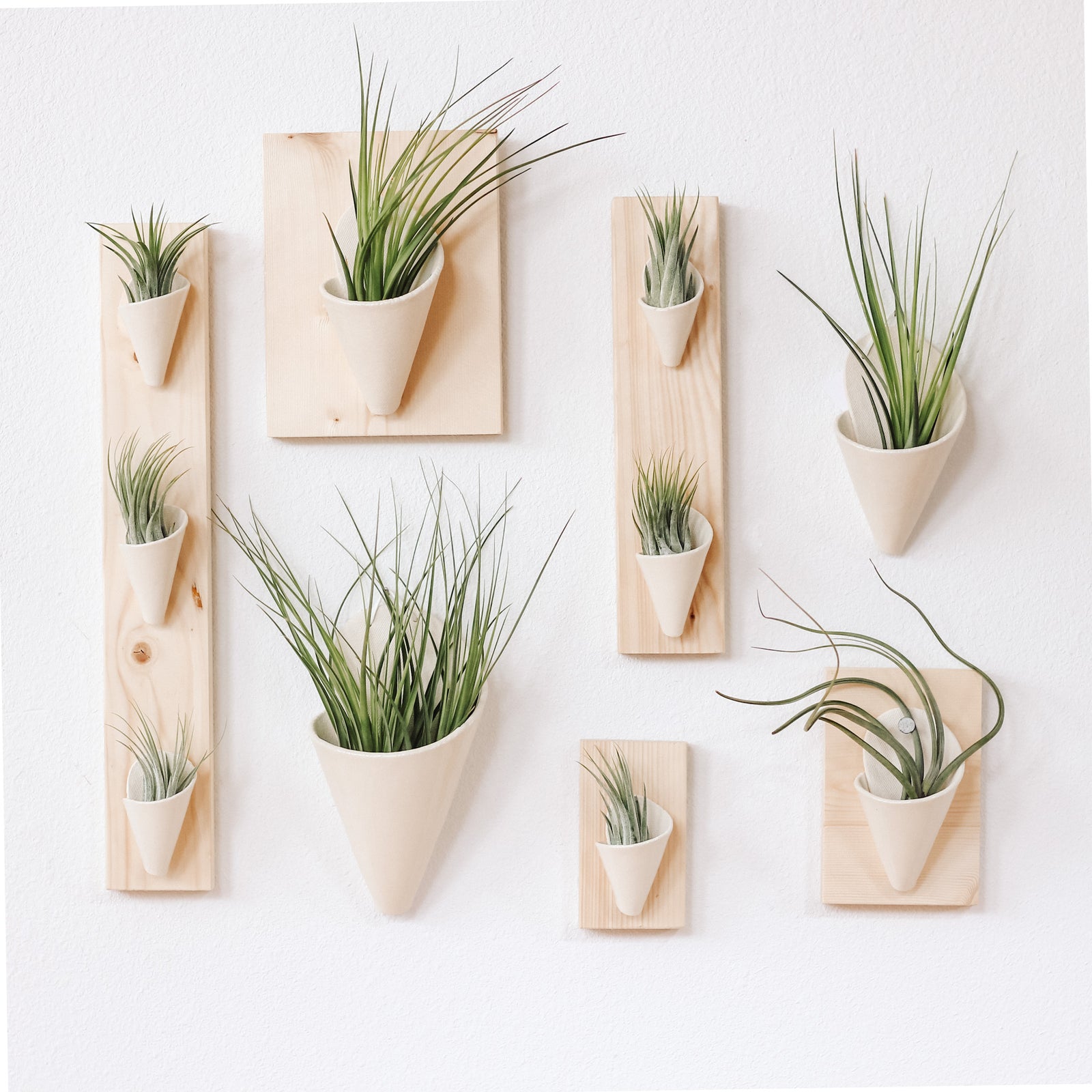Planters