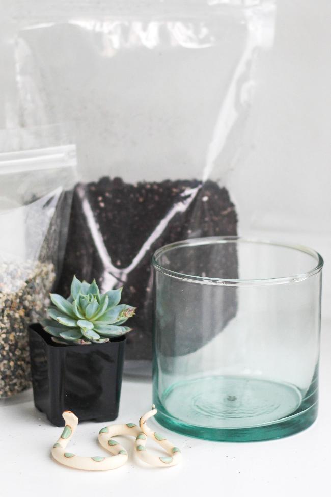 Terrarium Kits - Carter + Rose