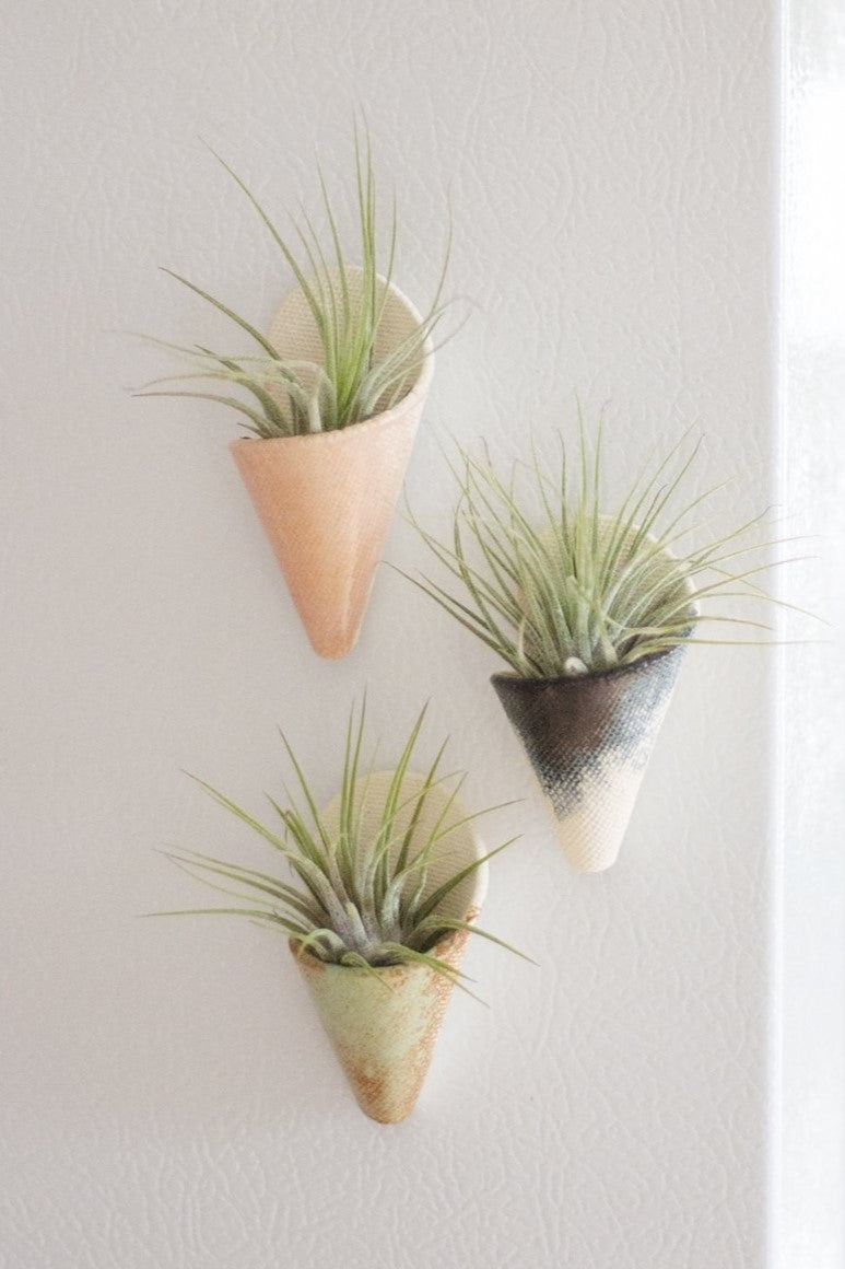 air plants portland oregon Mini Wall Planter Magnet