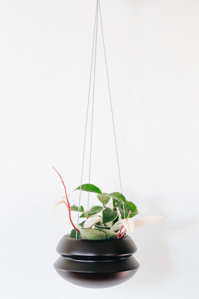 Full view of the black midnight medium hanging planter holding a colorful vining plant, hanging from three thin metal wires that connect at the top. The planter has a cinched design.