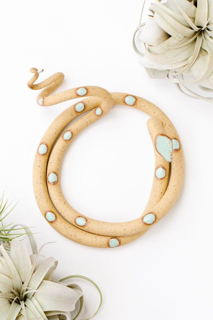 Tan speckled clay snake with light turquoise glazed head and dots coiled into a loose circle with an organic curly tail. This colorway is Selma. The snake sits on a white background and is styled with xerographica plants.