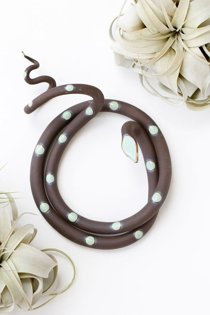 Tan speckled clay snake with light turquoise glazed head and dots coiled into a loose circle with an organic curly tail. This colorway is Selma. The snake sits on a white background and is styled with xerographica plants.