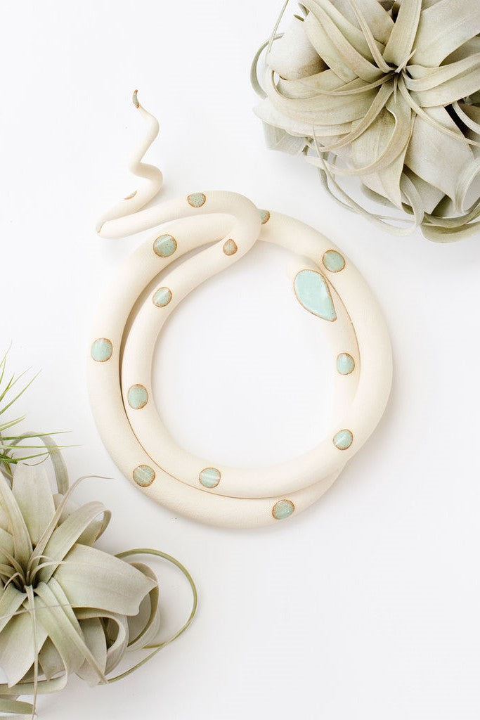 Ivory clay snake with light turquoise glazed head and dots coiled into a loose circle with an organic curly tail. This colorway is Sylvia. The snake sits on a white background and is styled with xerographica plants.
