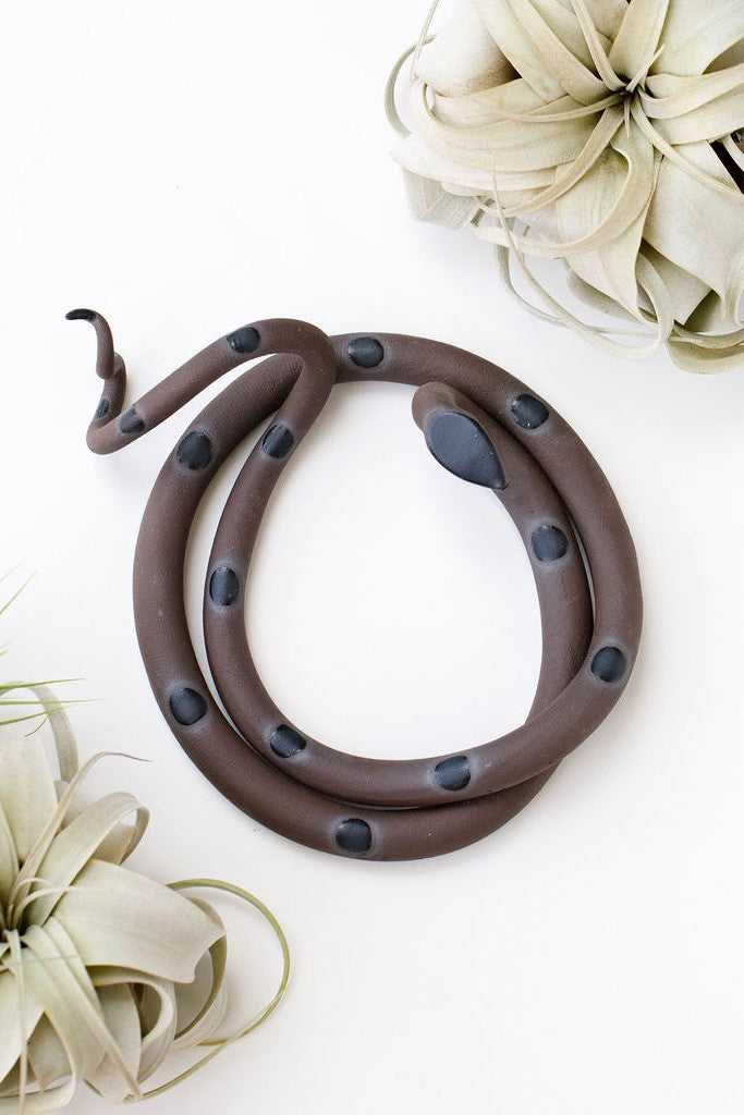 Dark brown clay snake with black glazed head and dots coiled into a loose circle with an organic curly tail. This colorway is Saul. The snake sits on a white background and is styled with xerographica plants.