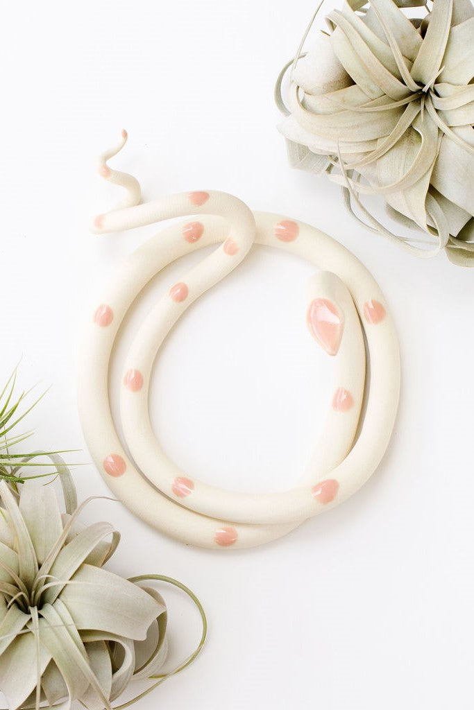 Ivory clay snake with light pink glazed head and dots coiled into a loose circle with an organic curly tail. This colorway is Sofie. The snake sits on a white background and is styled with xerographica plants.