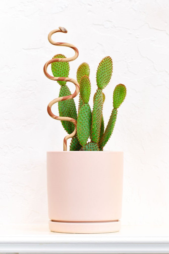 Swirled [sand and terracotta] clay small snake stake. The s-curving clay snake stands vertically out of a light pink planter with a multi-lobed cactus.