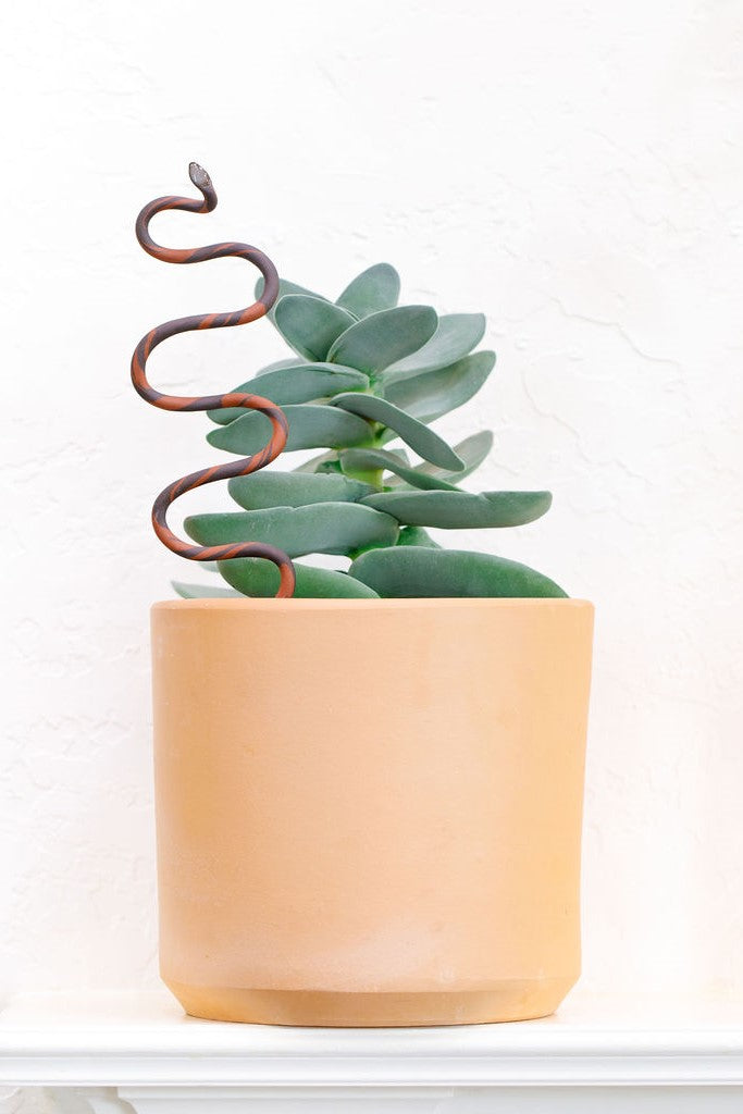 Swirled dark chocolate and terracotta clay large snake stake. The s-curving clay snake stands vertically out of a terracotta pot with a lobed aloe plant. 
