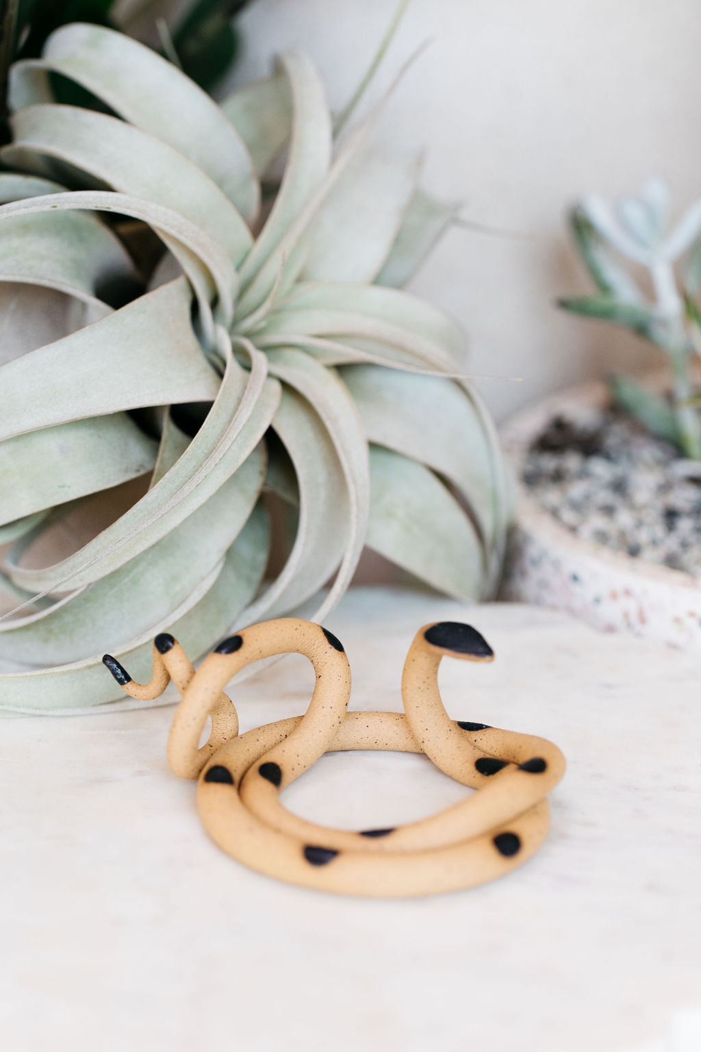 Coiled speckled tan pottery snake with black glazed head and dots. This colorway is Sammy. Styled with a xerographica in the background.