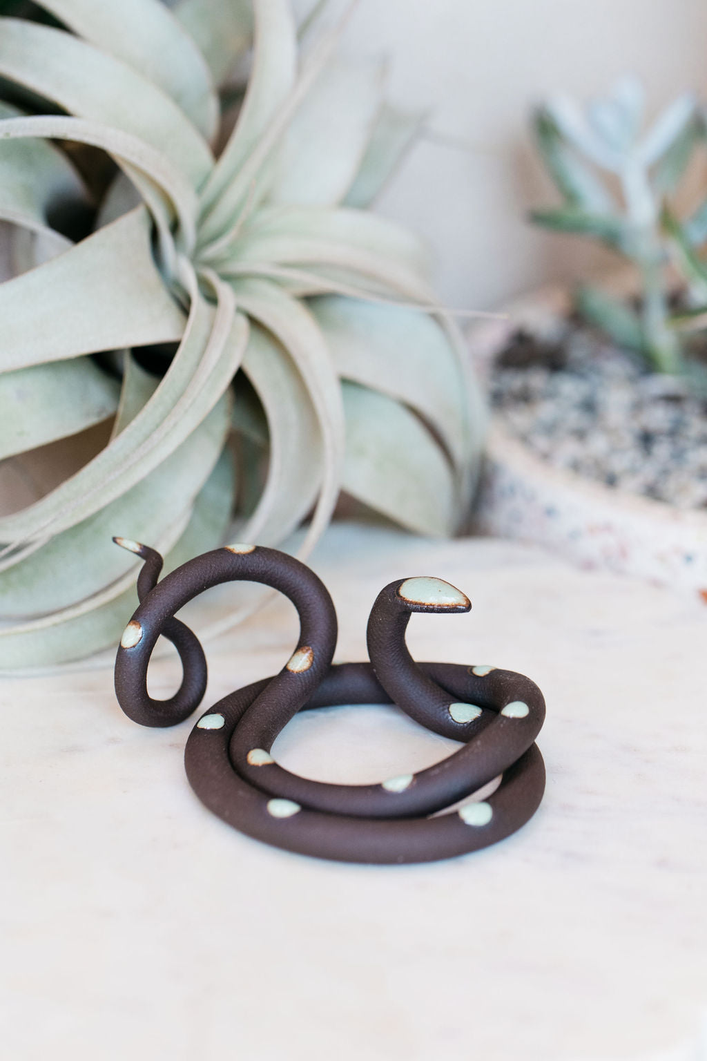Coiled black pottery snake with light turquoise glazed head and dots. This colorway is Stevie. Styled with a xerographica in the background. 