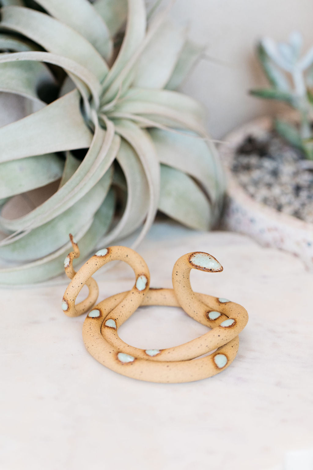 Coiled speckled tan pottery snake with light turquoise glazed head and dots. This colorway is Selma. Styled with a xerographica in the background.