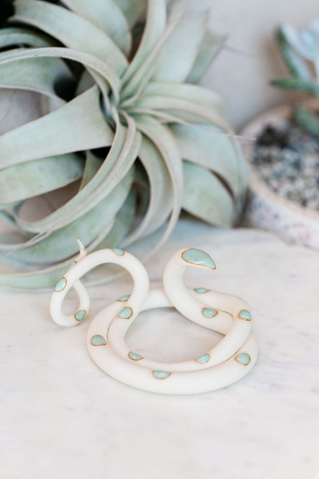 Coiled ivory pottery snake with light turquoise glazed head and dots. This colorway is Sylvia. Styled with an air plant sitting in the center of the coil. 