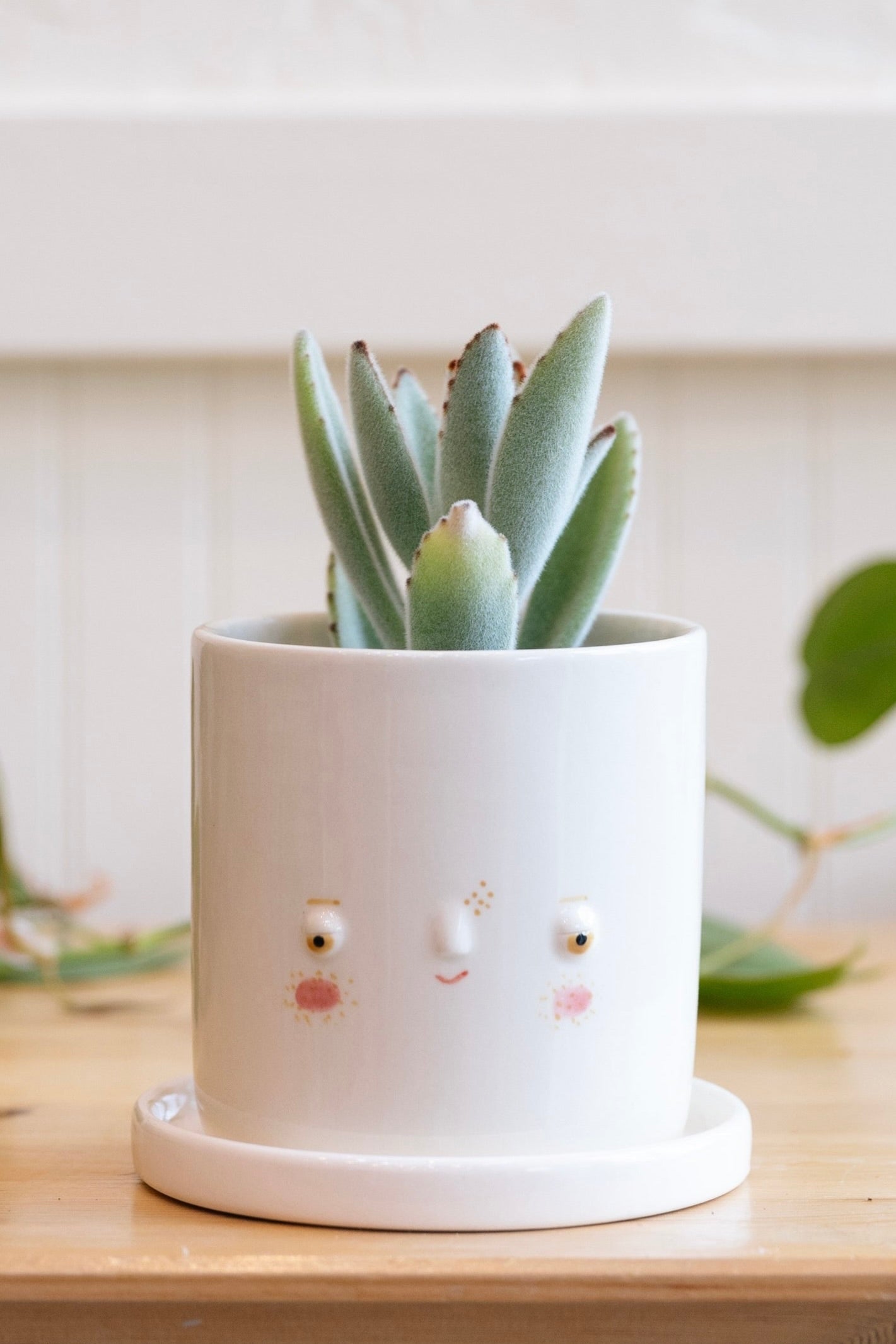 Friends Assembly Planter - Carter + Rose