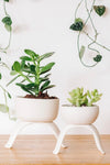 High Rise Plant Pots