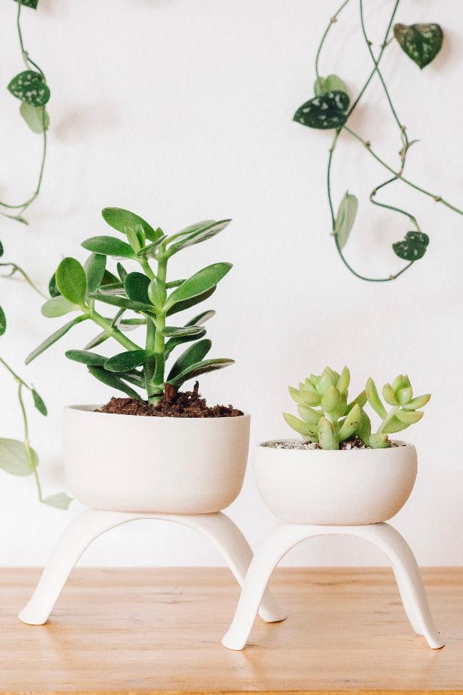 decorative pot for plants Ceramic Raised Plant Pot