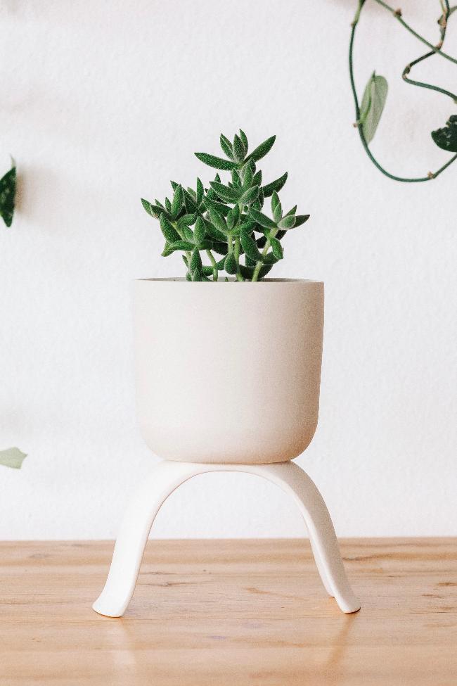 raised plant pot indoor Ceramic Raised Plant Pot