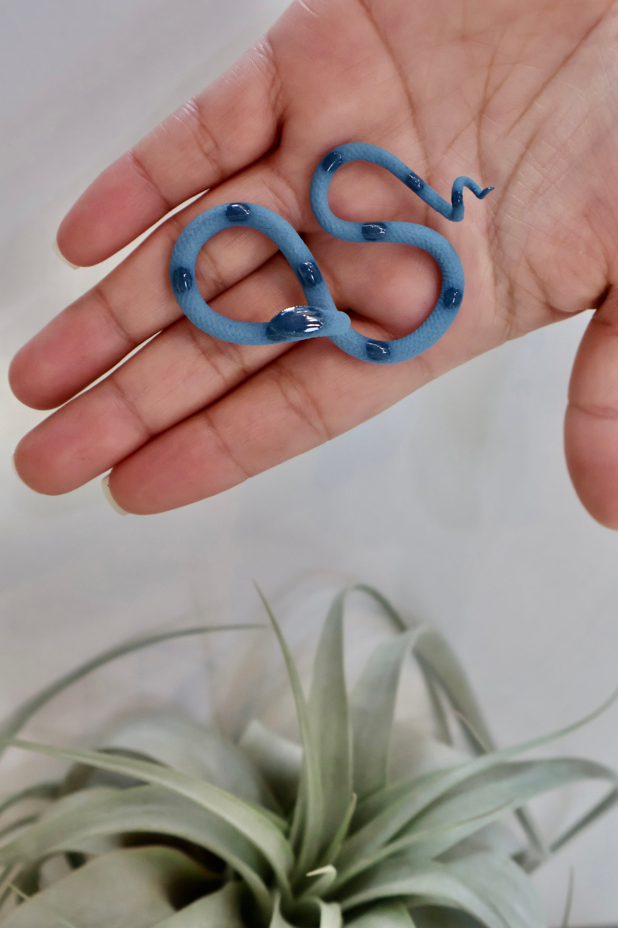 Pastel Fruit Snakes - Carter + Rose