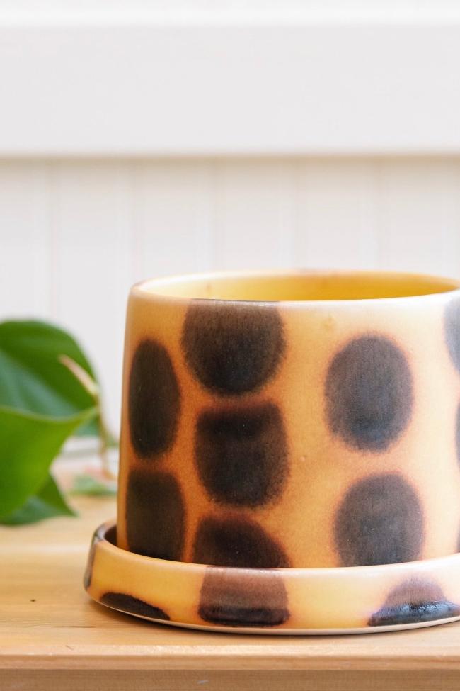 Sparnicht Planter - Carter + Rose