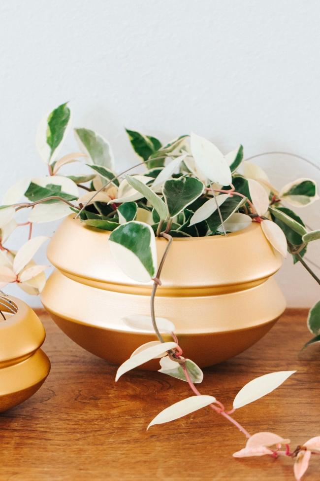 Full view of the brass medium hanging planter holding a colorful vining plant, hanging from three thin metal wires that connect at the top. The planter has a cinched design.