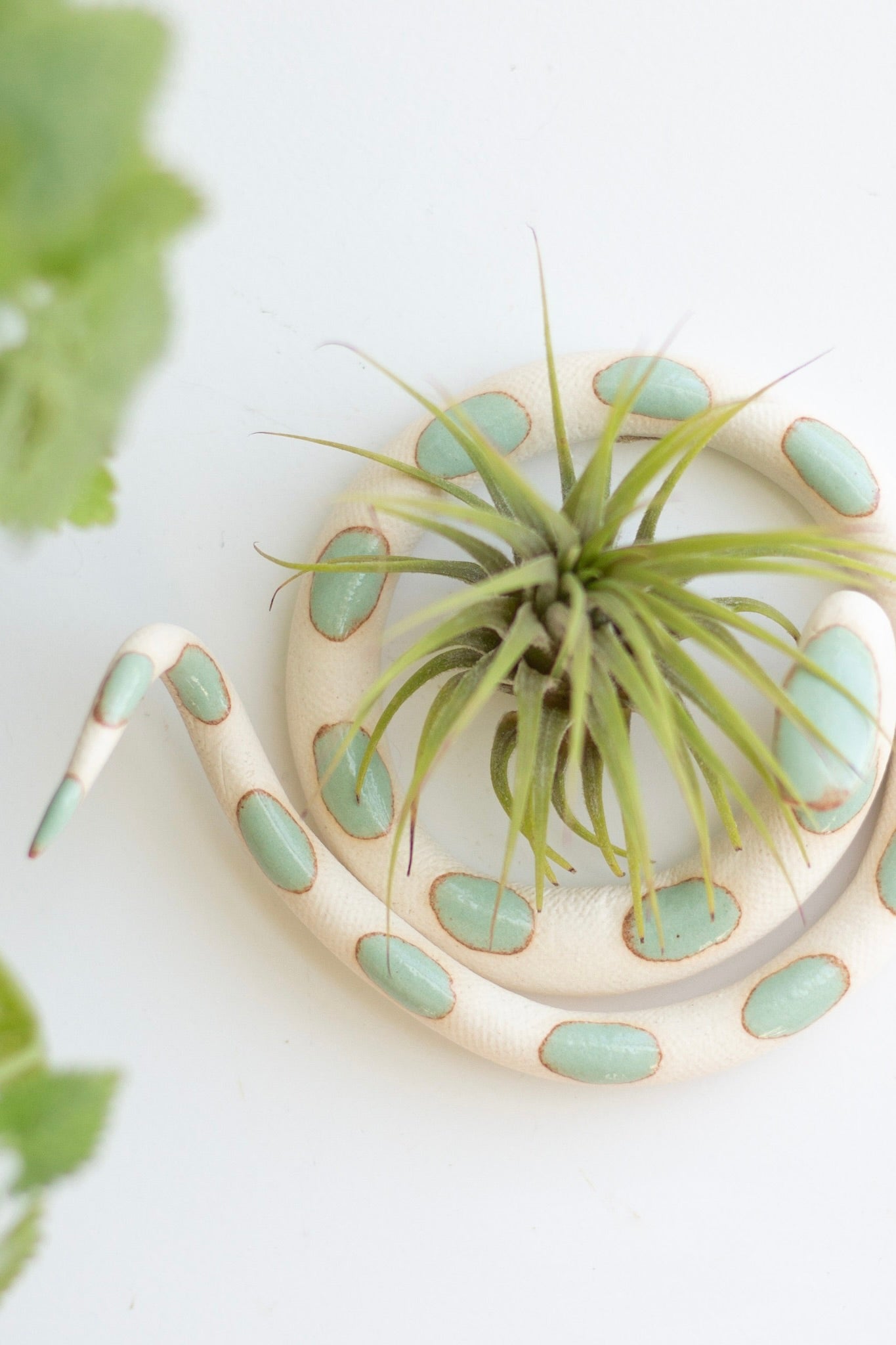 Make-a-Snake / December 18th, 6:30-8:30 - Carter + Rose