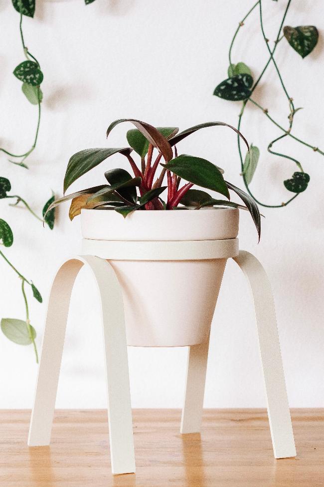 Off white lifted metal plant stand holding a white porcelain pot with a planted houseplant