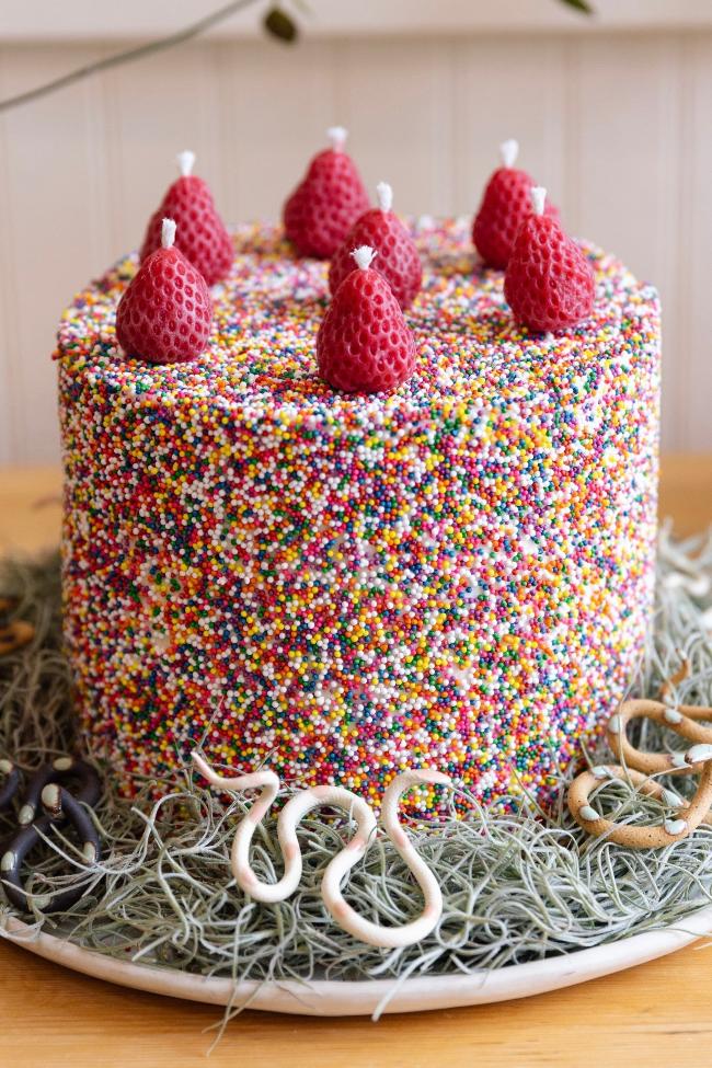 Styled round cake covered in small rainbow sprinkles with strawberry beeswax candles placed on top. Our baby ceramic snakes are nestled at the base of the cake on top of some Spanish moss. 