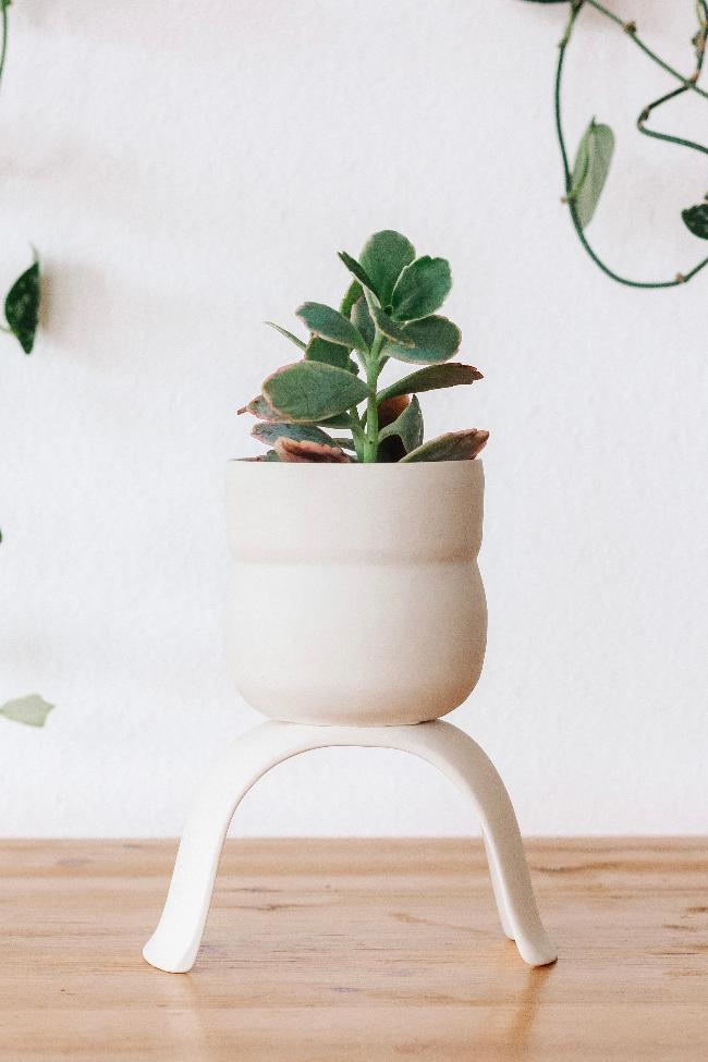 small plant pot Ceramic Raised Plant Pot