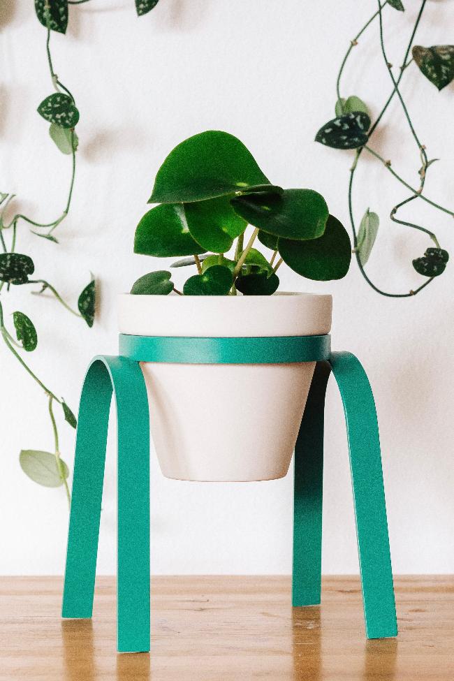 Teal lifted metal plant stand holding a white porcelain pot with a planted houseplant