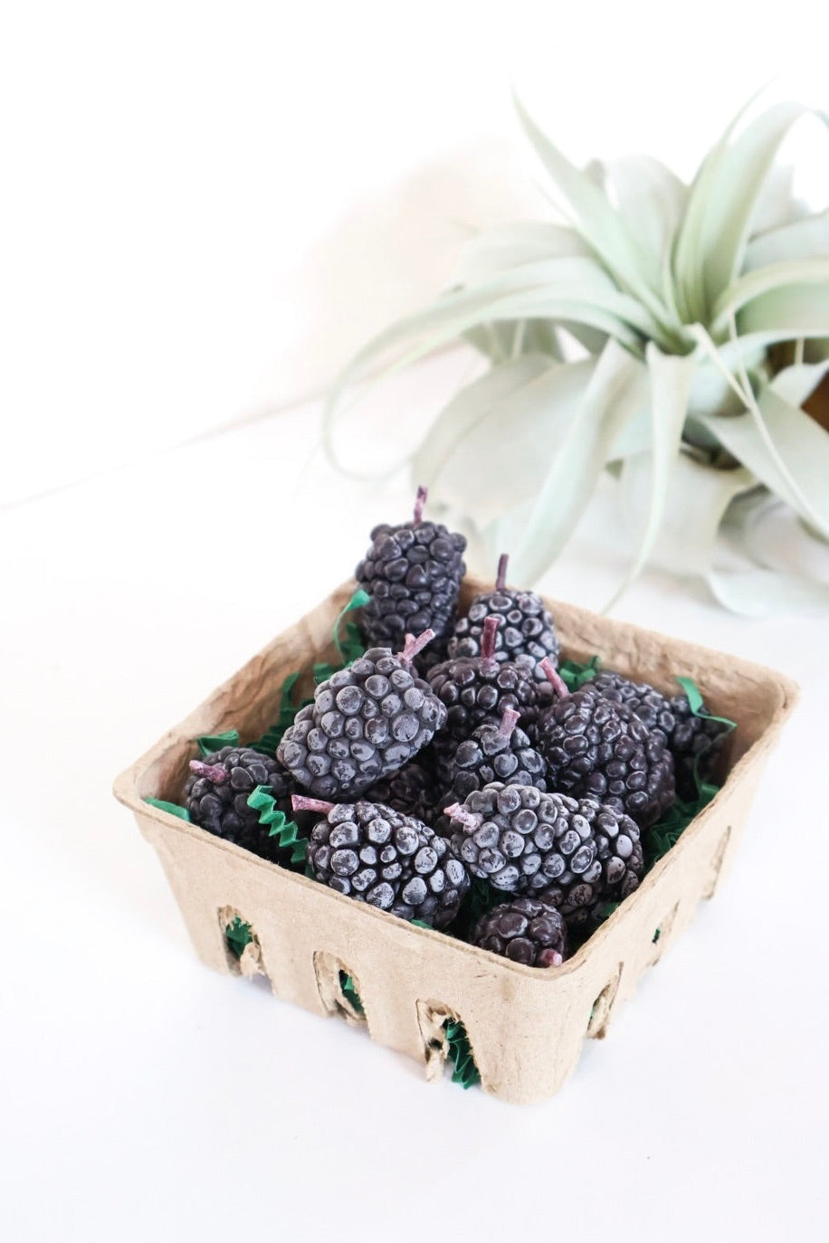 Ten blackberry shaped beeswax candles nestled in a tan berry box with a xerographica plant in the background. 
