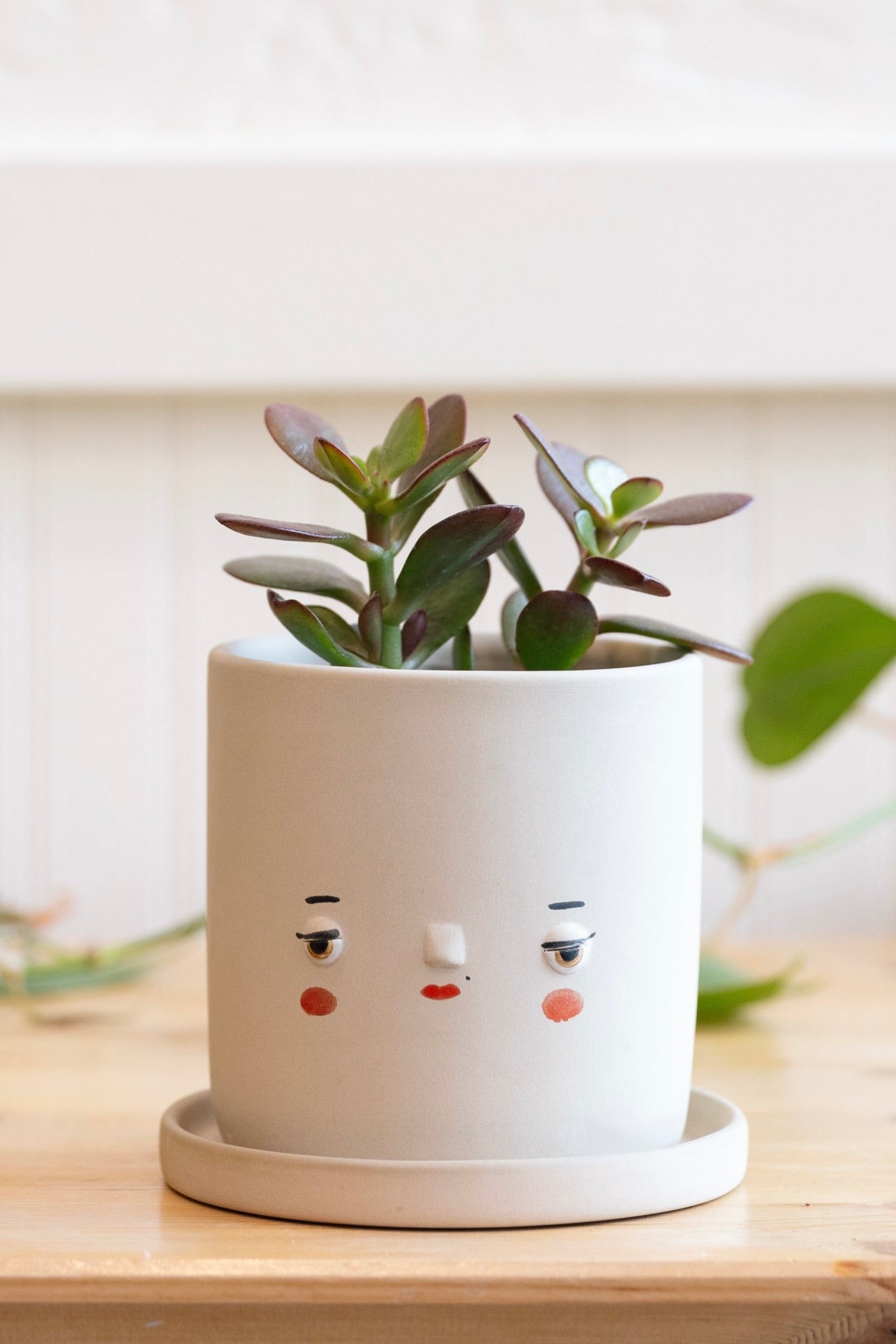 Friends Assembly Planter - Carter + Rose