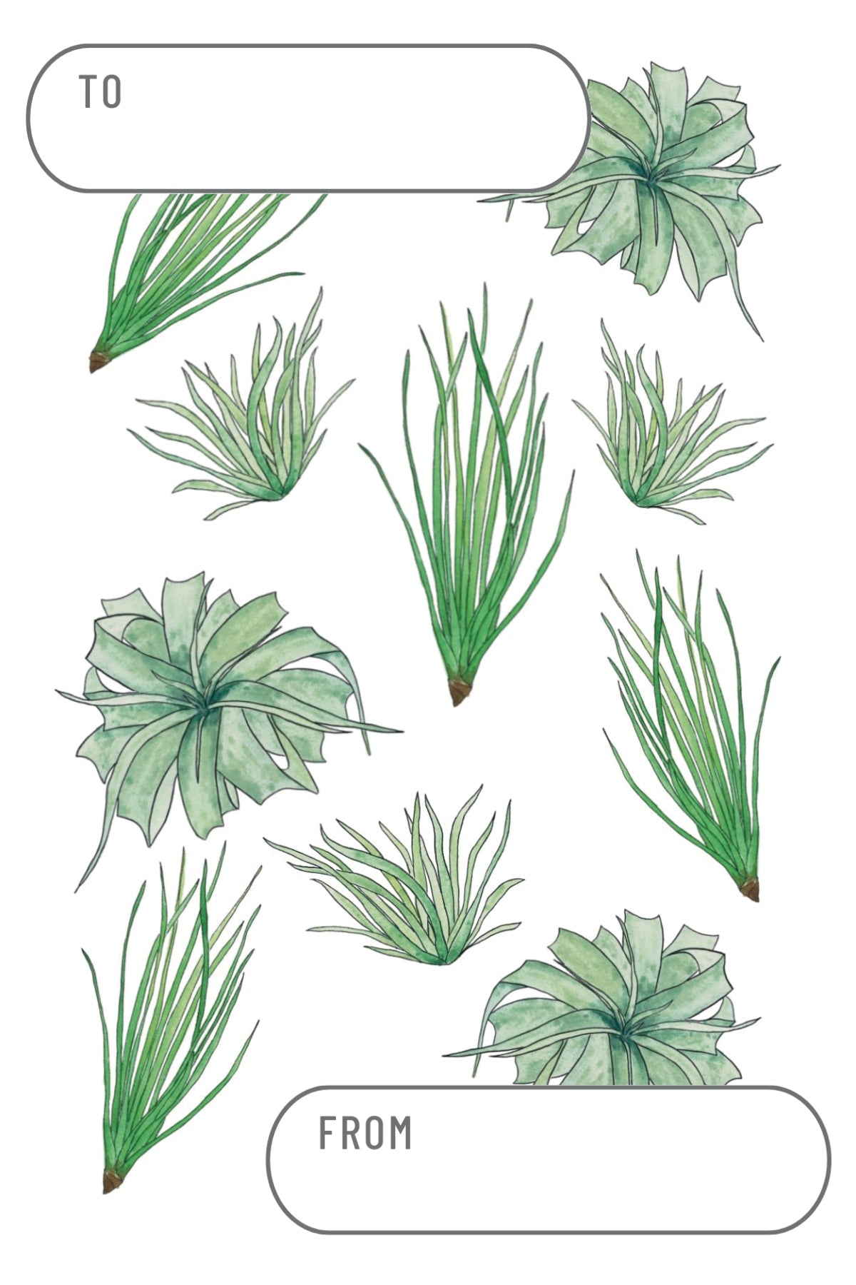 Personalized Gift Note - Carter + Rose