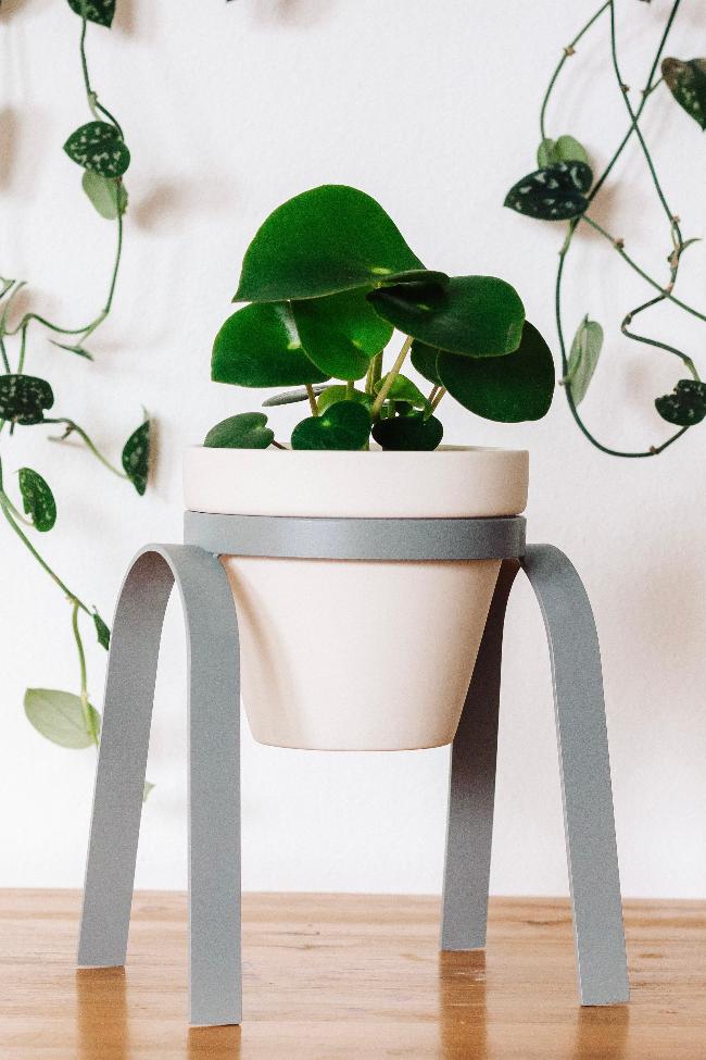 Light gray lifted metal plant stand holding a white porcelain pot with a planted houseplant