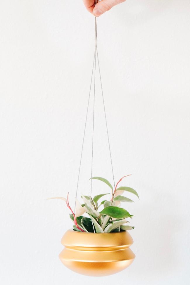 Full view of the brass medium hanging planter holding a colorful vining plant, hanging from three thin metal wires that connect at the top. The planter has a cinched design.