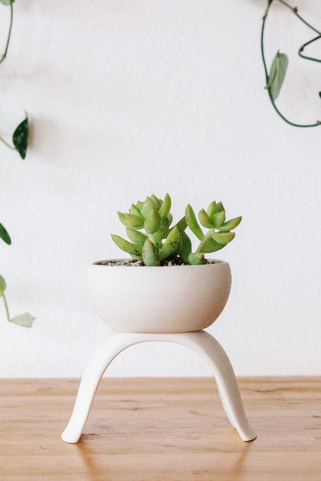 small decorative plant pots Ceramic Raised Plant Pot