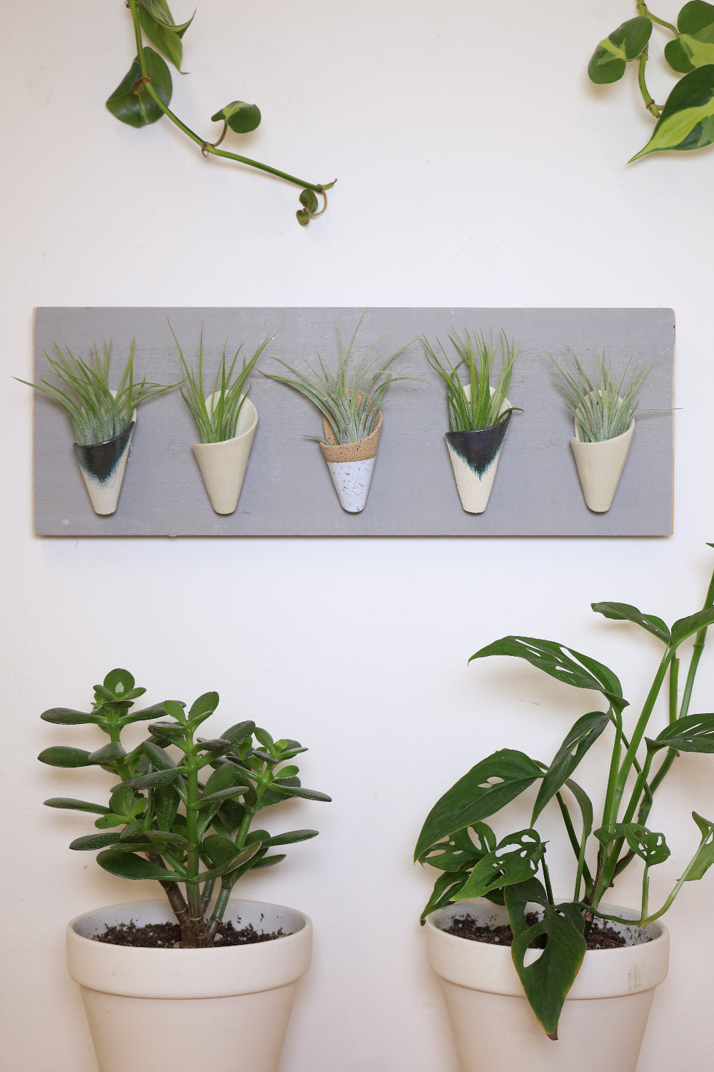 Five small ceramic cones on a horizontal grey wood board. Cone colors go from left to right: indigo, ivory, speckled white, indigo, ivory. The planter is styled with air plants in each of the cones and is hanging on a white wall above a couple of potted plants.