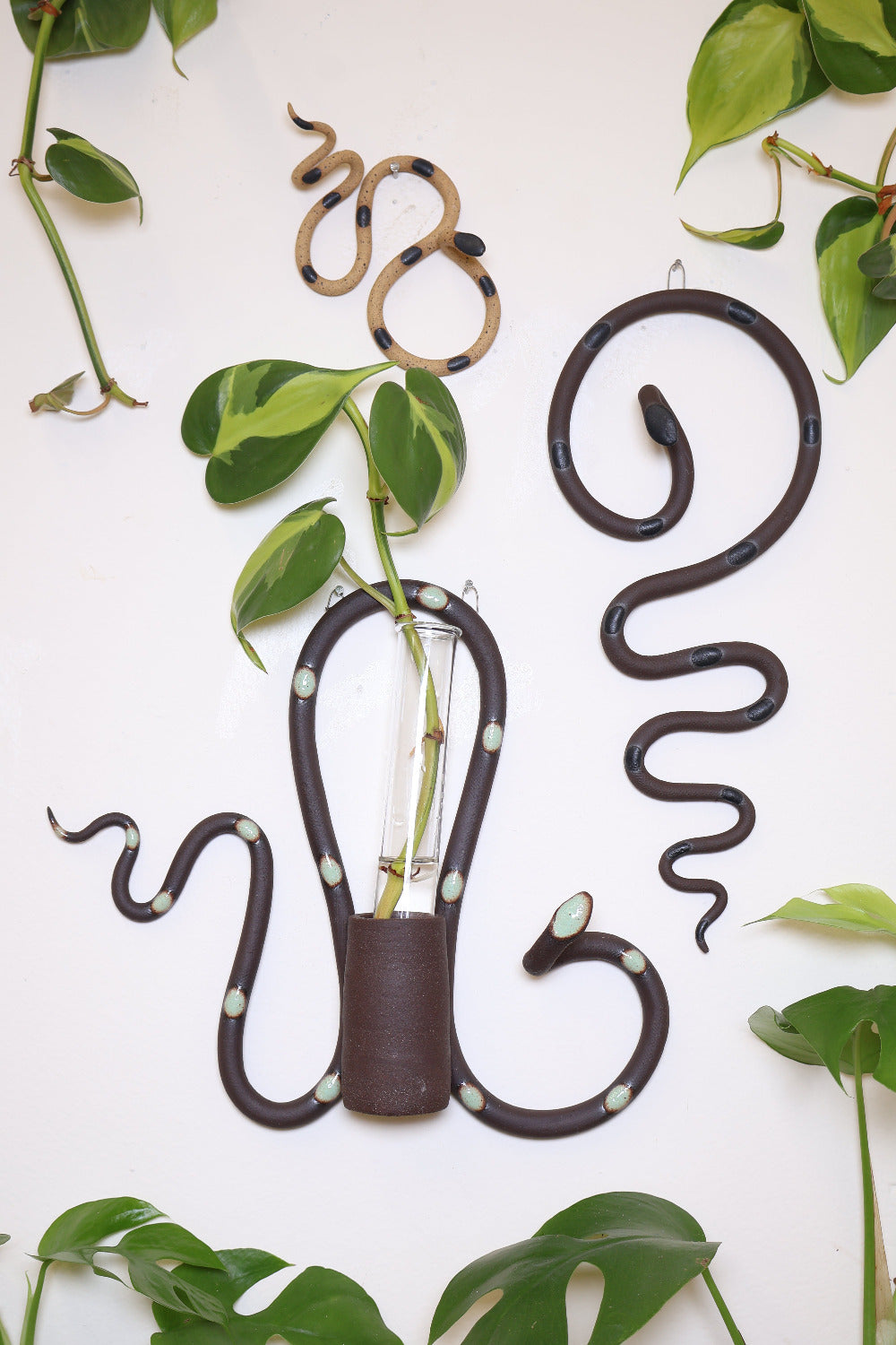 Forest propagation station set on a white wall surrounded by vining plants. This set is a small Sammy ceramic snake (speckled tan clay with black glaze dots), a Stevie plant propagation station (dark chocolate clay with light turquoise glaze dots), and a medium Saul wall snake (dark chocolate clay with black glaze dots). 