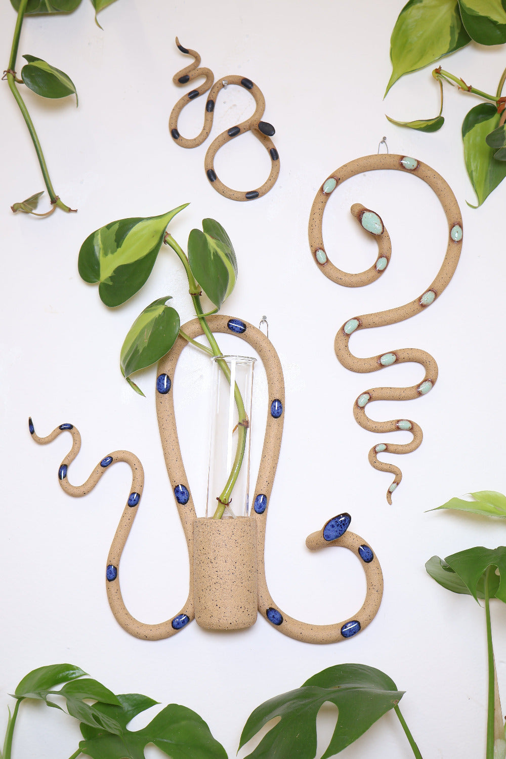 Shore propagation station set on a white wall surrounded by vining plants. This set is a small Sammy ceramic snake (speckled tan clay with black glaze dots), a Selena plant propagation station (speckled tan clay with blue glaze dots), and a medium Selma wall snake (speckled tan clay with light turquoise glaze dots). 