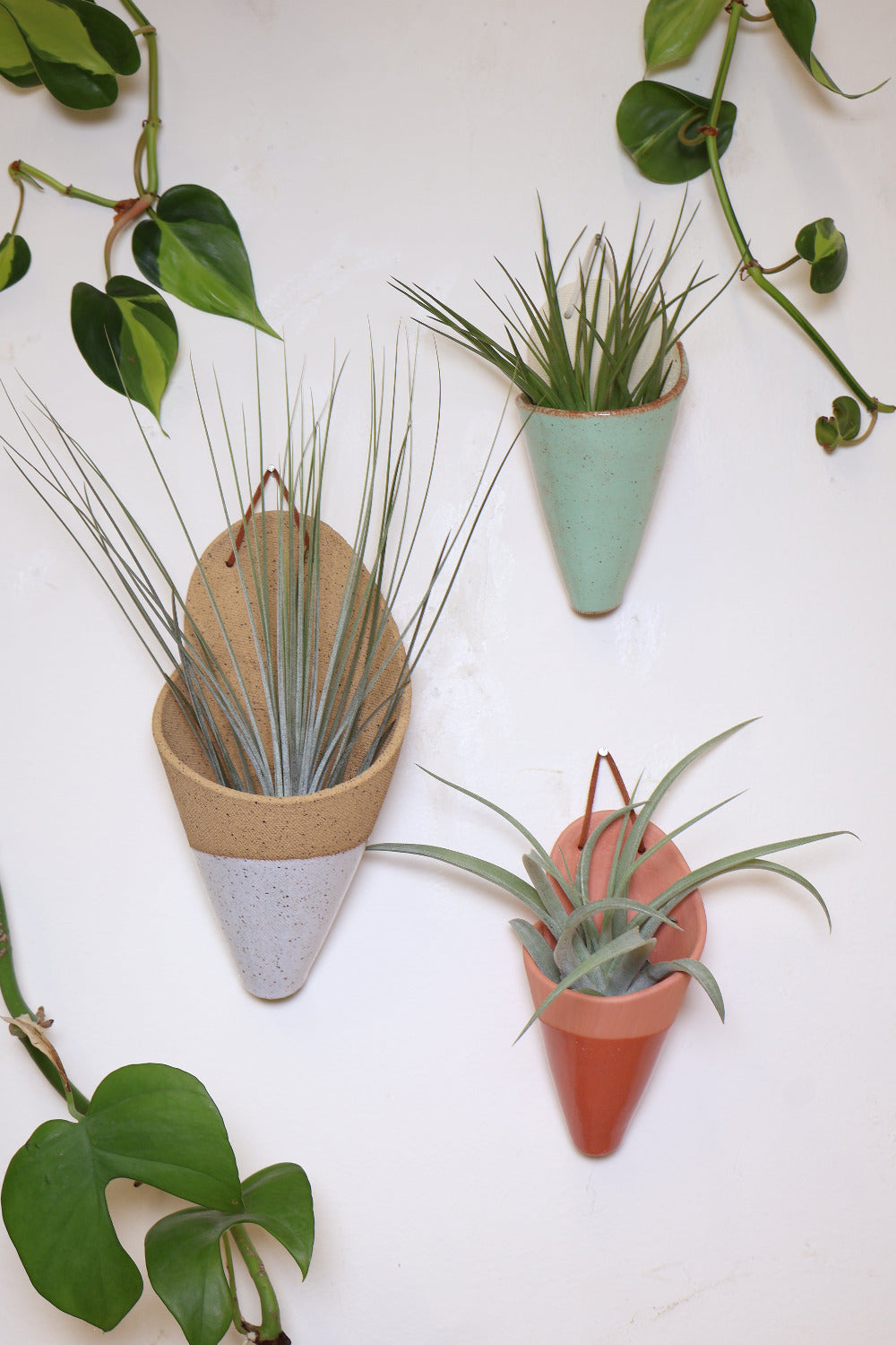 Three ceramic wall planters with a faux leather hanging straps  hanging on a white wall surrounded by vining plants. The planters are shaped like cones and hold air plants. This set includes a large speckled white cone, a medium pistachio cone and a medium terracotta cone.