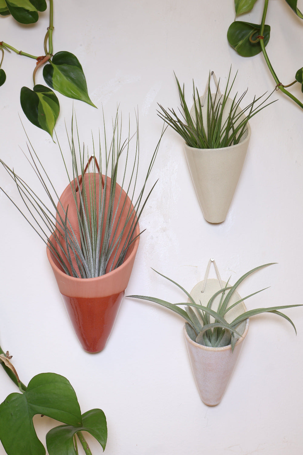 Three ceramic wall planters with a faux leather hanging straps  hanging on a white wall surrounded by vining plants. The planters are shaped like cones and hold air plants. This set includes a large speckled white cone, a medium pistachio cone and a medium terracotta cone.