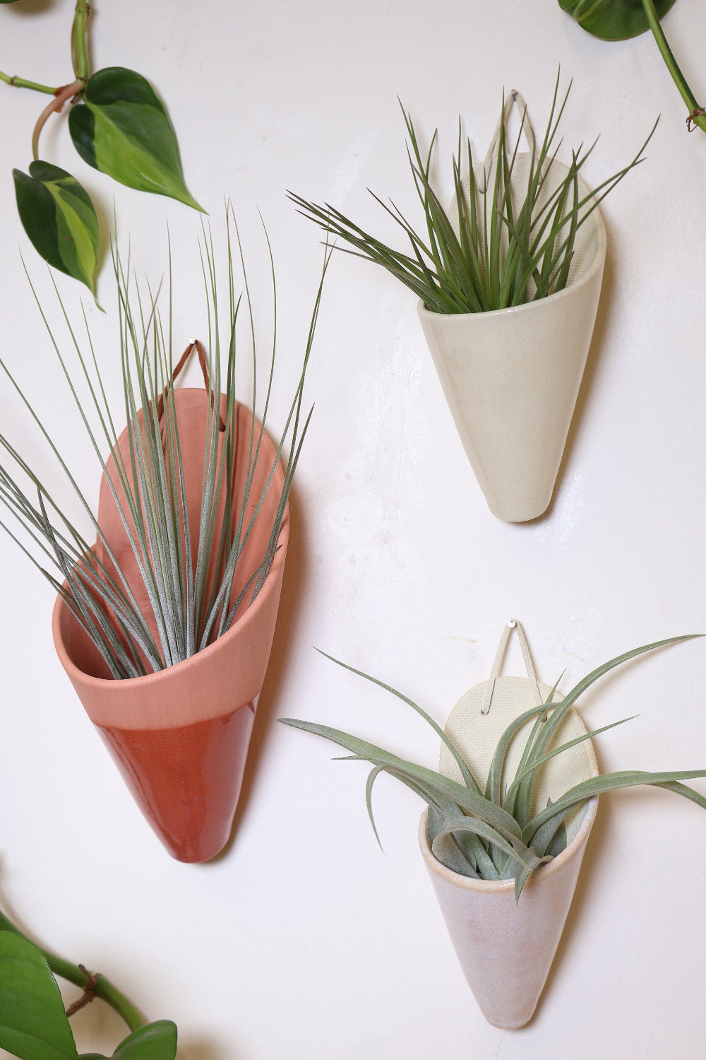 Side view of the Terracotta set, showing the cones more close up. This set has a large terracotta cone, a medium ivory cone and a medium blush cone. The wall mounted cones are holding various air plants.