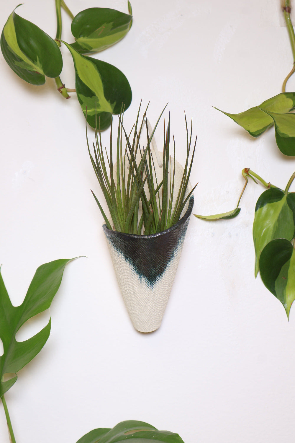 Ivory ceramic cone-shaped planter with an indigo glaze design styled with a spikey green air plant hanging on a white wall from a faux leather loop.