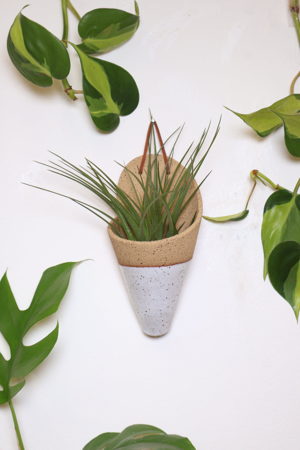 Speckled tan ceramic cone-shaped planter with dipped in a white glaze and is styled with a spikey green air plant hanging on a white wall from a faux leather loop.