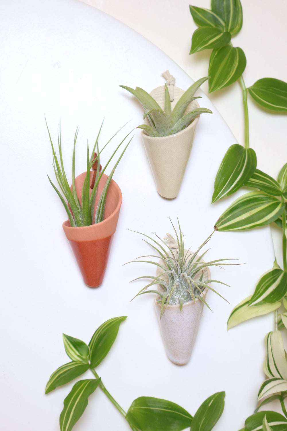 Three mini magnetic ceramic cone shaped planters holding air plants. The colors of the cones are speckled white, pistachio and terracotta.