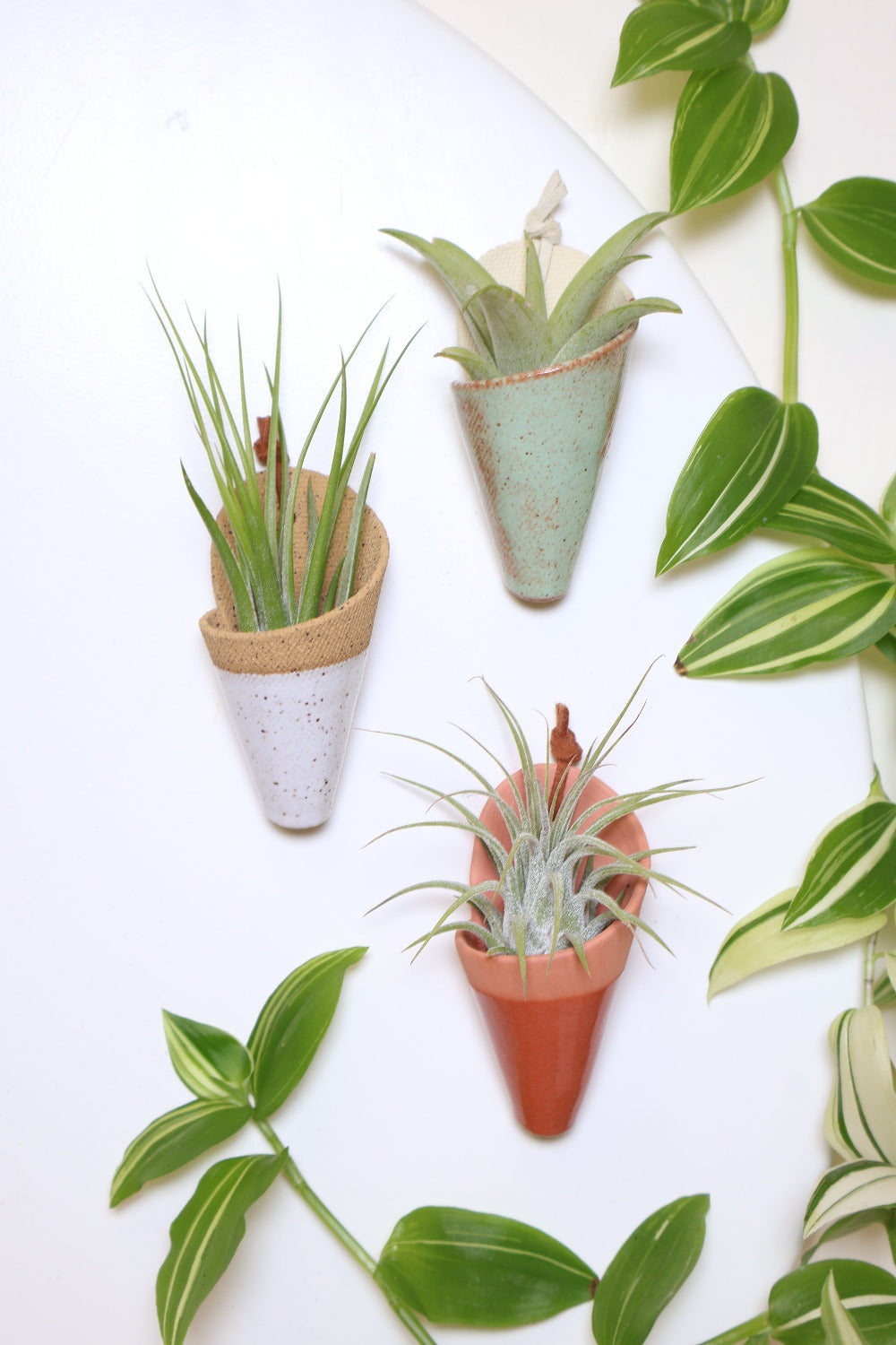 Three mini magnetic ceramic cone shaped planters holding air plants. The colors of the cones are speckled white, pistachio and terracotta.