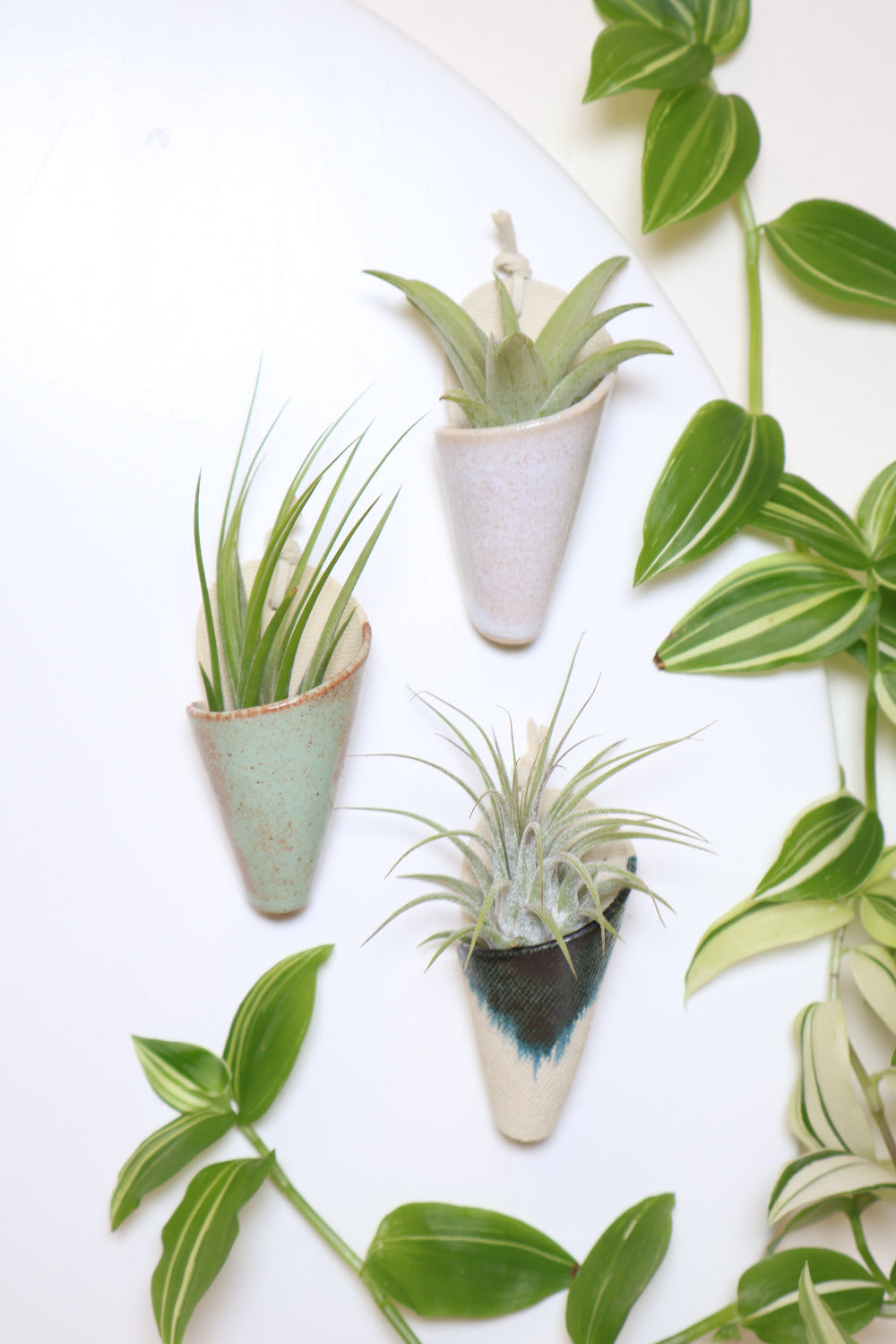 Three mini magnetic ceramic cone shaped planters holding air plants. The colors of the cones are pistachio, blush, indigo.