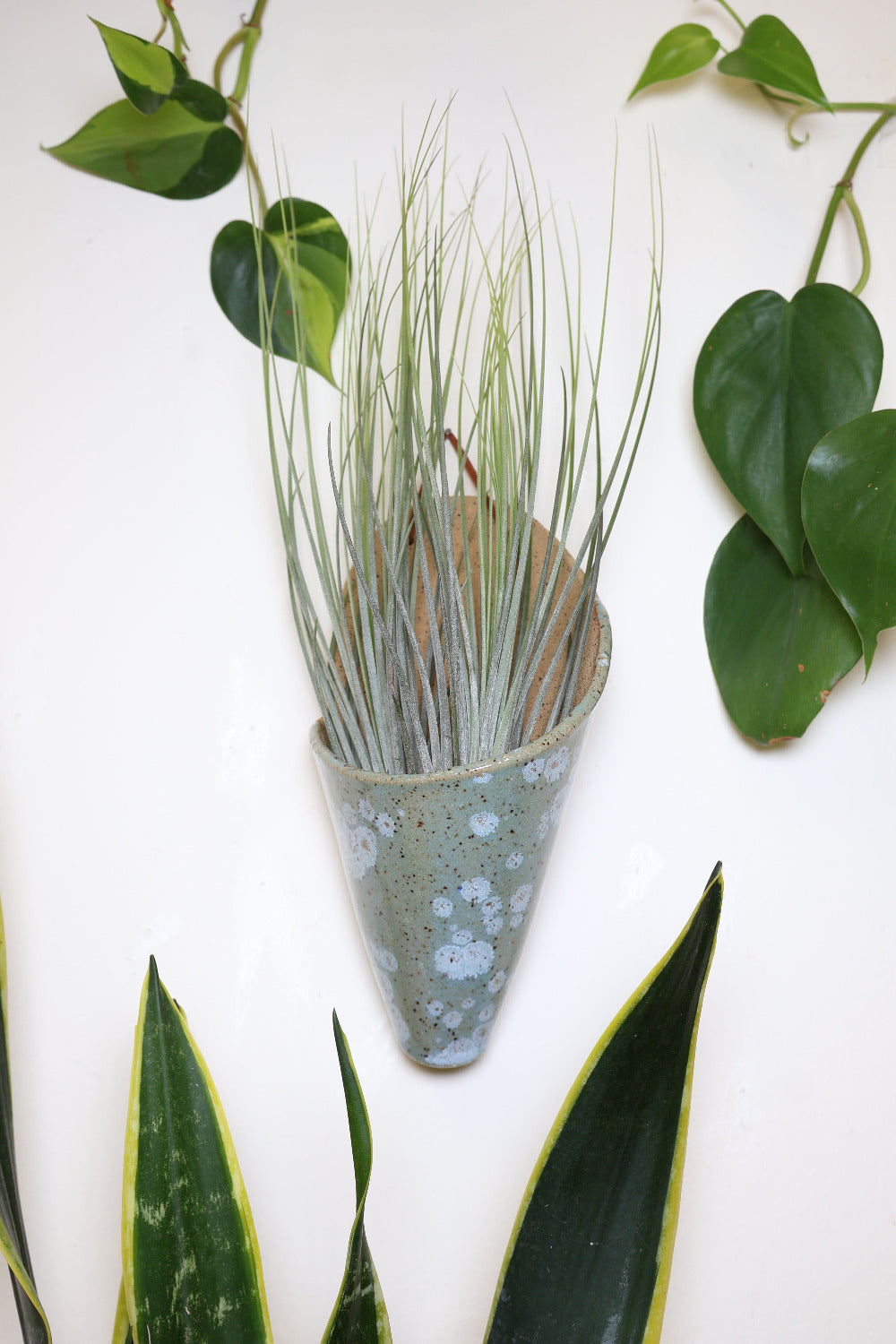 A large sized ceramic wall planter with a faux leather hanging strap hanging on a white wall. The planter is shaped like a cone and is made with speckled tan clay and has a sage green glaze with blooms of light blue glaze with. It's holding a green air plant.