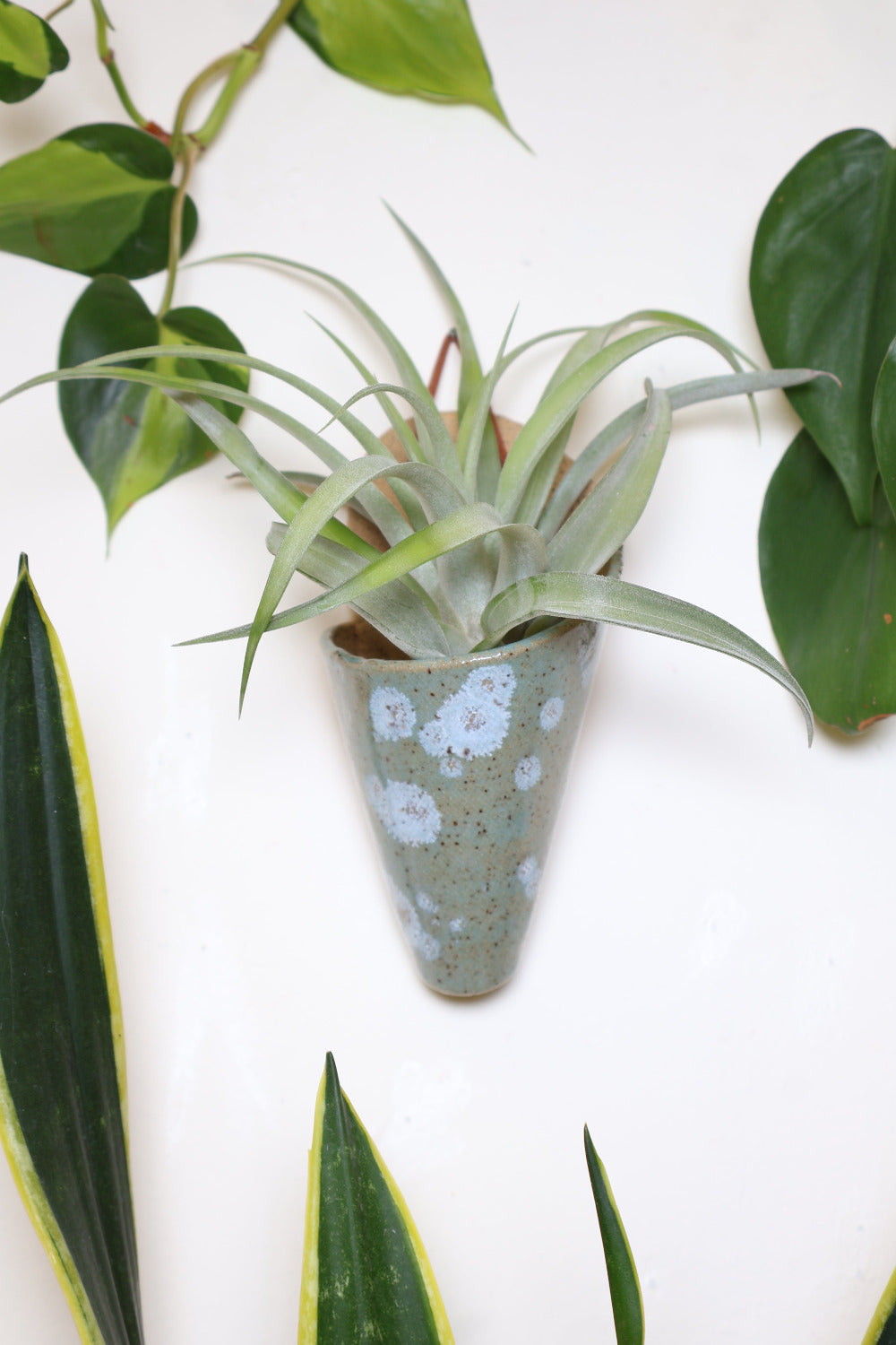 Medium Ceramic Wall Planter - Carter + Rose