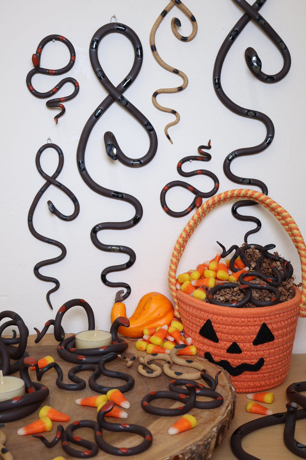 The fall collection of snakes styled on tabletop and wall. The snakes are styled with a woven jack-o-lanter basket, candy corn and mini squash. 