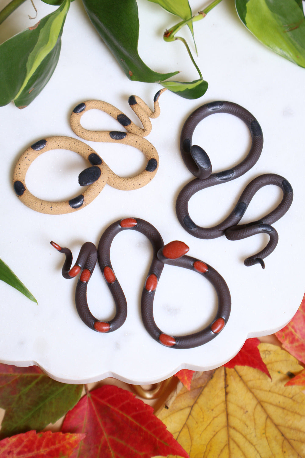 Three small ceramic snakes on a white platter surrounded by houseplant and fall leaves. The snakes are Sammy (tan with black spots), Saul (black with black spots) and Squash (black with red-orange spots)